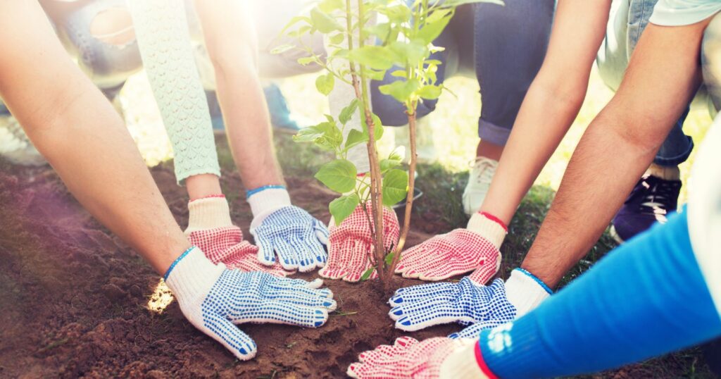 A diverse group of volunteers and advocates join hands to plant a tree, symbolizing unity and environmental stewardship.